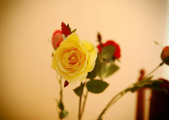 Appartement Devana Opatija