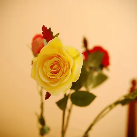 Lägenhet Devana Opatija